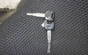 HONDA REBEL 250 2022 MC49