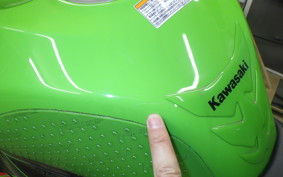 KAWASAKI NINJA ZX-6R A 2023 ZX636G