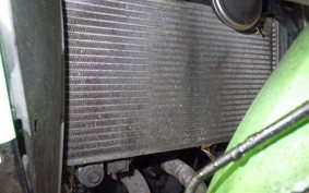 KAWASAKI NINJA 250R 2007 EX250K