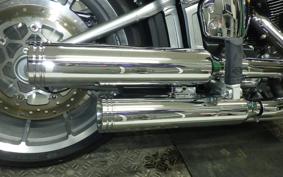 HARLEY FLSTFI1920 2025
