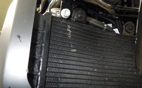 HARLEY RH975 2022