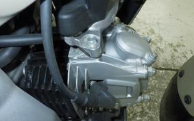 HONDA CT125 HUNTER CUB 2024 JA55