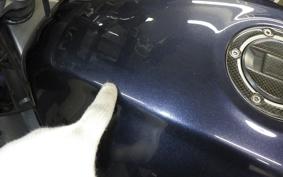 SUZUKI BANDIT 1250 SA 2009 GW72A