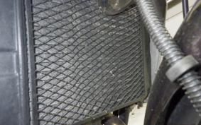 KAWASAKI BALIUS 250 Gen.2 2021 ZR250B