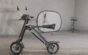OTHER  BLAZE  SMART EV BLAZE