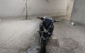 YAMAHA FATHER 250 RG42