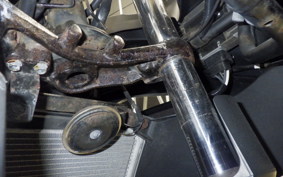 KAWASAKI NINJA 250 EX250L