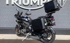TRIUMPH  TRIUMPH  TIGER 1200GTPRO 2024 TAP22V
