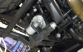 OTHER +ENFIELD ﾋﾏﾗﾔﾝ 2024