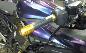 KAWASAKI ZX-25R ZX250E