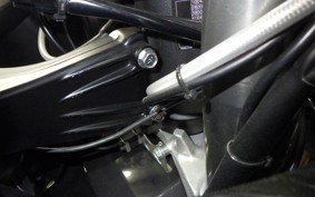 KAWASAKI ZX 1400 NINJA R A 2021