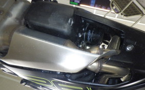 TRIUMPH DAYTONA660 2025