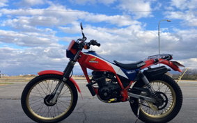 HONDA TLR200 MD09