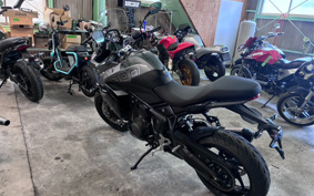 TRIUMPH TIGER SPORT 800 2026 L25P16