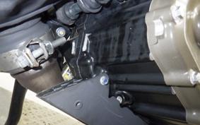 HUSQVARNA SVARTPILEN 250