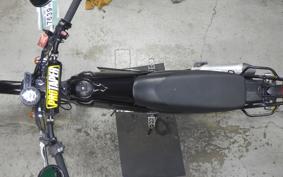 YAMAHA TRICKER DG10J