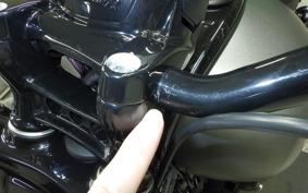 INDIAN Chief Dark Horse bobber 2023
