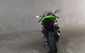 KAWASAKI NINJA ZX-6R 2019 ZX636G