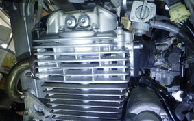 HONDA XR250 BAJA 2010 MD30
