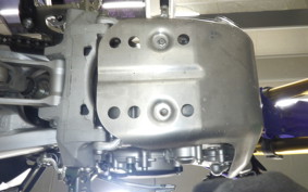 YAMAHA WR250R 2022 DG15J