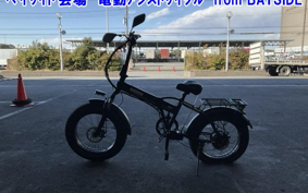 OTHER DENDOU ASSIST JI TON  CAR 