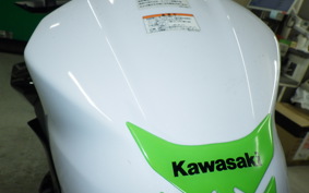 KAWASAKI Z400 Gen.2 2019 EX400G