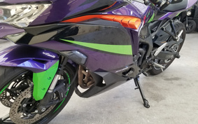 KAWASAKI NINJA ZX-4RR 2023 ZX400P