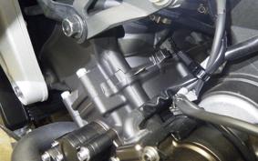 YAMAHA XSR900 GP 2024 RN96J