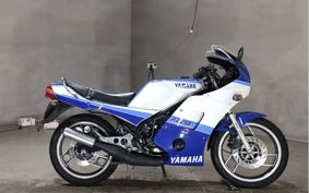 YAMAHA RZ250RR 29L