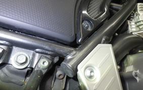 YAMAHA TRICKER 2022 DG10J