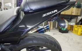 KAWASAKI NINJA 250R EX250K