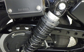 HARLEY XL883N 2015