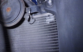 KAWASAKI NINJA 250R 2025 EX250K