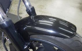 KAWASAKI ELIMINATOR 250 V 2024 VN250A