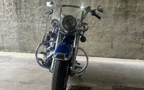 HARLEY  HARLEY FLSTC WORN TEIJISOFUTE IL C 2009 BW5