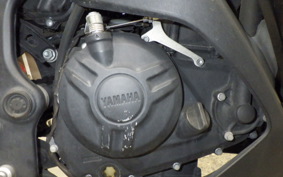 YAMAHA YZF-R25 2008 RG10J