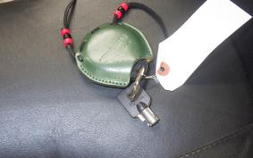 HARLEY FLHTCUTG 1870 2019