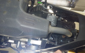 KAWASAKI Z125 PRO 2010 BR125H