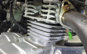 HONDA APE 50 2024 AC16