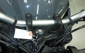 YAMAHA MT-25 A 2008 RG74J