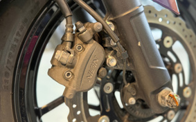 KAWASAKI NINJA 250 EX250P