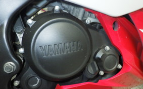 YAMAHA YZF-R15 2026