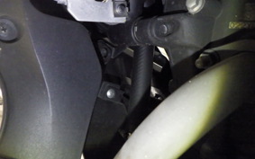 YAMAHA YZF-R25 2006 RG43J