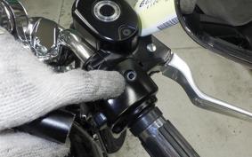 HARLEY L1200LI 2010