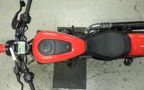 HARLEY RH975 2026