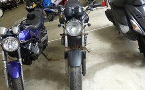 HONDA HORNET 250 MC31