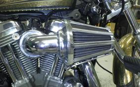 HARLEY XL1200V 2013