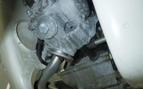 HONDA C50 SUPER CUB 2023 C50
