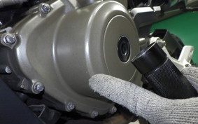 HUSQVARNA SVARTPILEN 401 2021