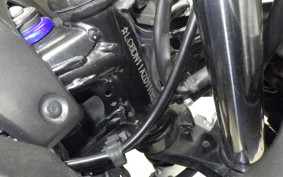 SUZUKI GSX250R 2010
